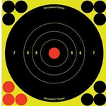 Birchwood Casey - Shoot-NC 6in Bulls Eye Target