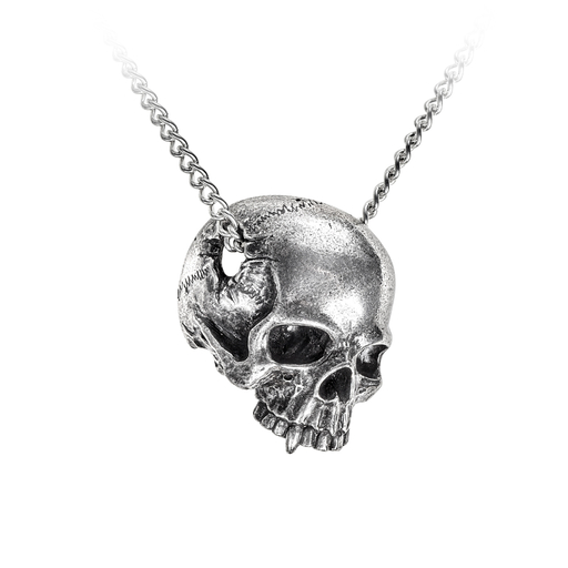 All That Remains Necklace Pewter Alchemy P886