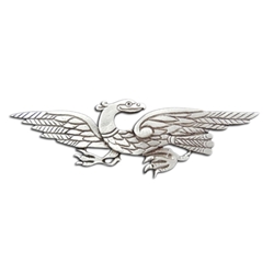 Celtic Eagle or Ilar Brooch in Pewter