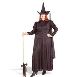 Classic Witch Plus Adult 38-19328